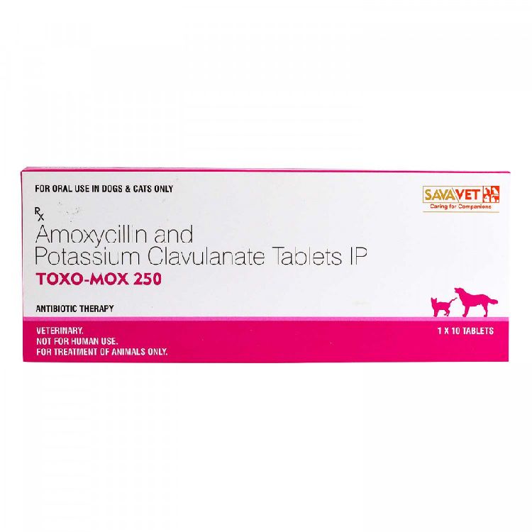 トキソモックス(Toxo-mox)250mg 【1箱10錠】