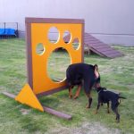 ロットワイラー ハル♡メモリーズ　チームブラタン大小♪