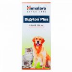 ダイジトンプラス