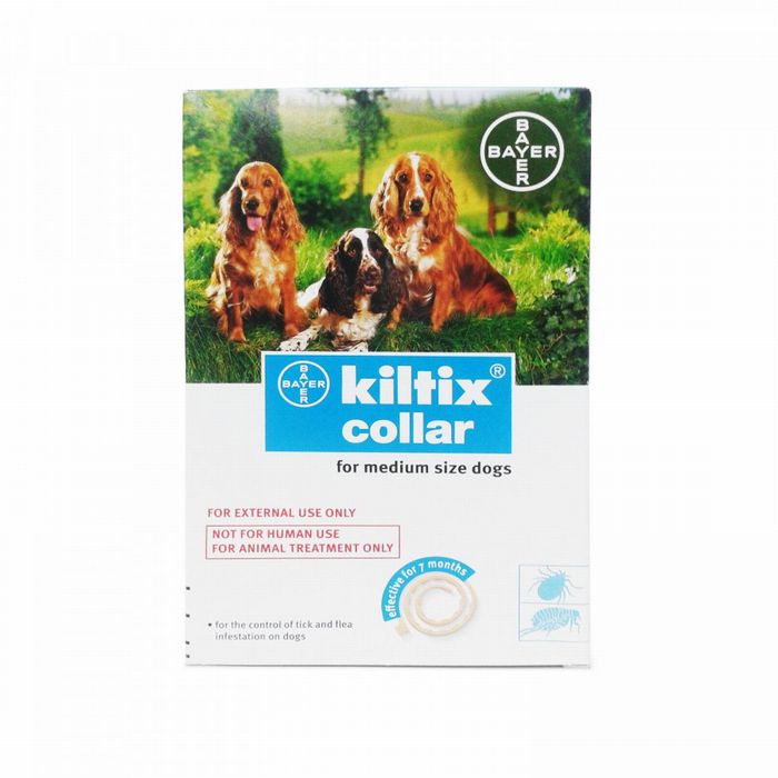 キルティクス（ボルホプラスカラー）Mサイズ