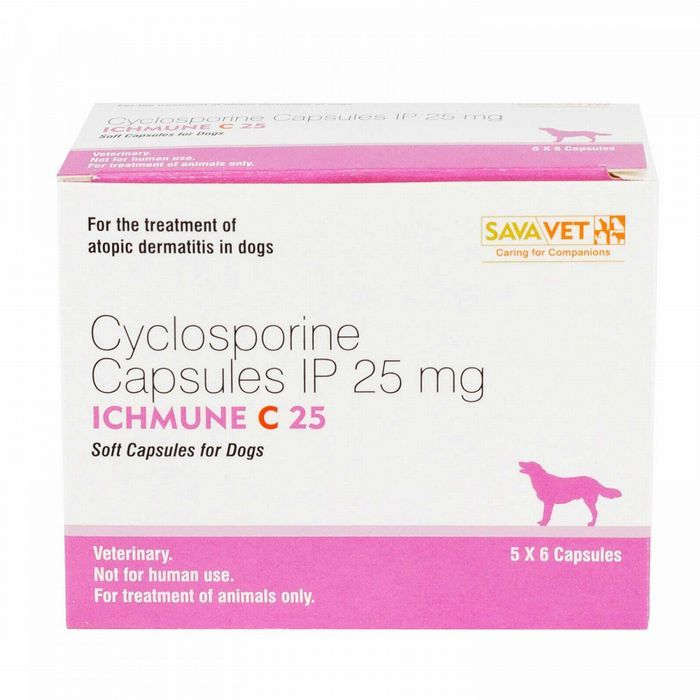 アイチュミューン 25mg（アトピー性皮膚炎の薬）